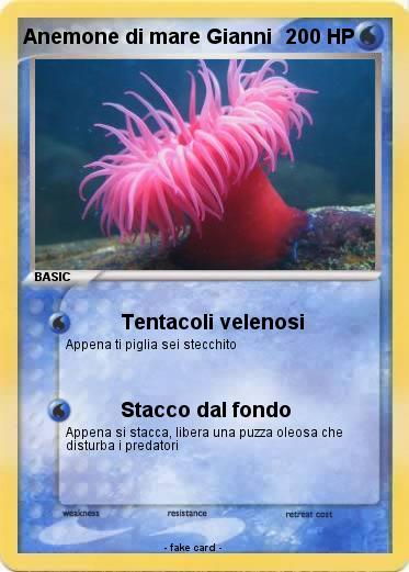 Pokemon Anemone di mare Gianni