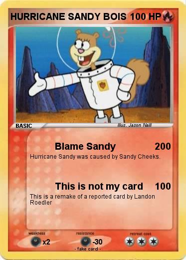 Pokemon HURRICANE SANDY BOIS