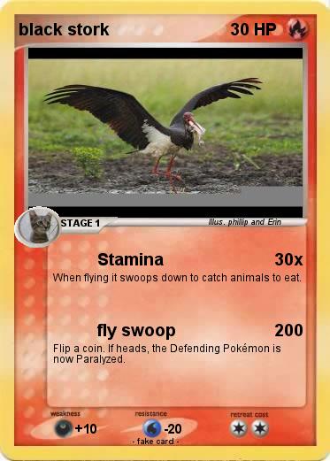Pokemon black stork