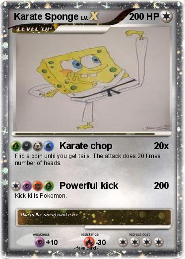 Pokemon Karate Sponge