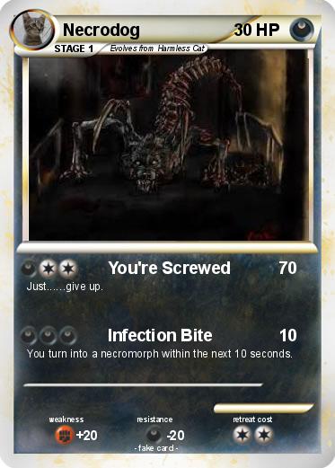 Pokemon Necrodog