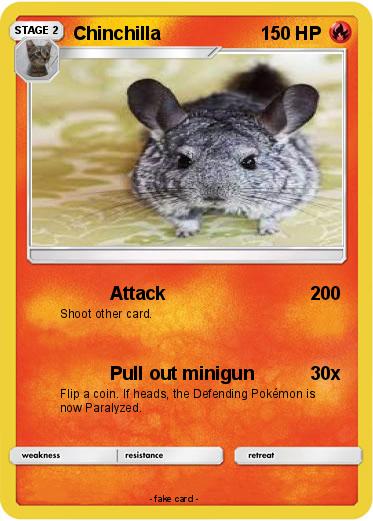 Pokemon Chinchilla