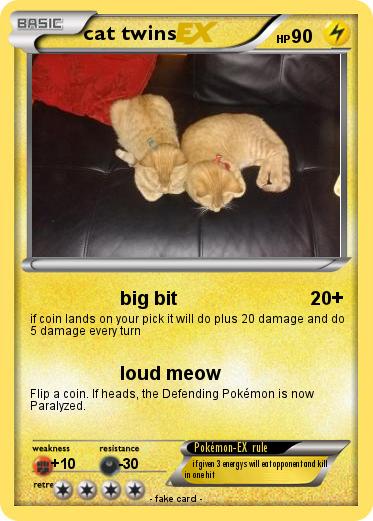 Pokemon cat twins