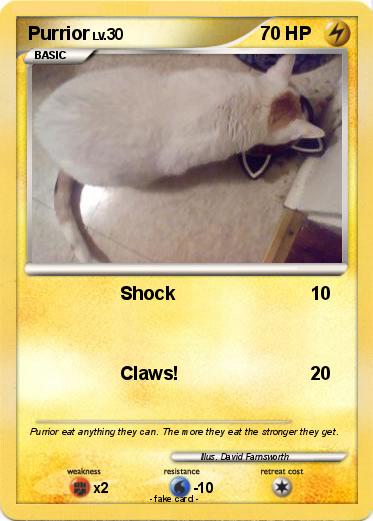 Pokemon Purrior