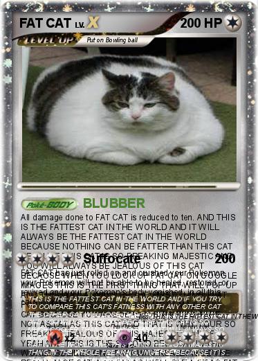 Pokemon FAT CAT