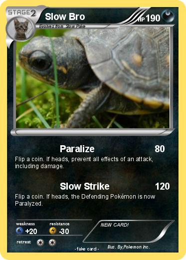 Pokemon Slow Bro