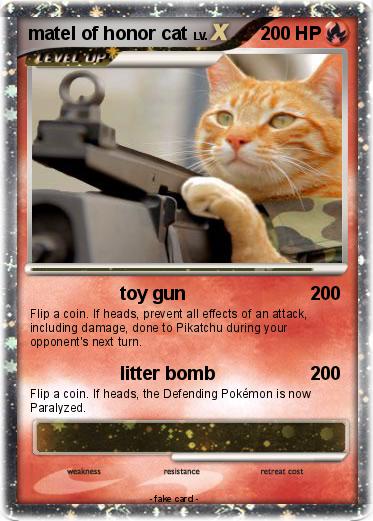 Pokemon matel of honor cat