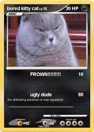 Pokemon bored kitty cat