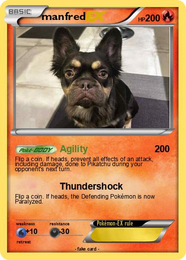 Pokemon manfred