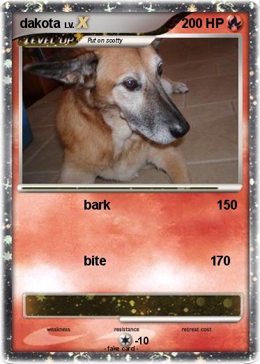 Pokemon dakota