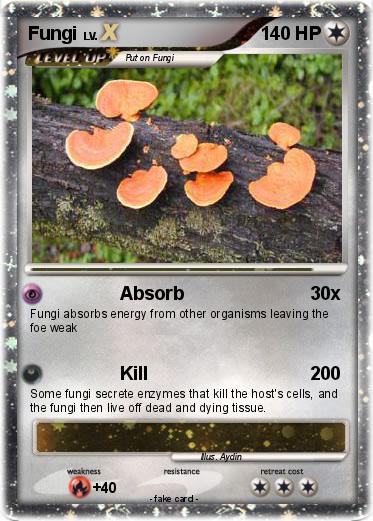 Pokemon Fungi
