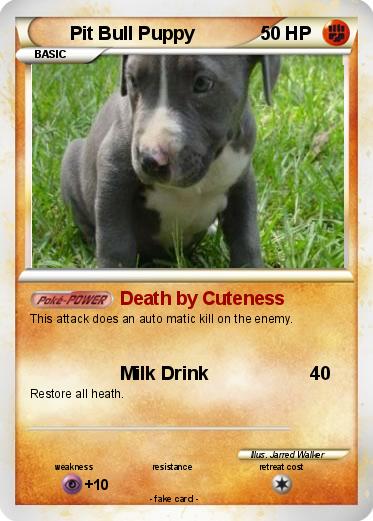 Pokemon Pit Bull Puppy