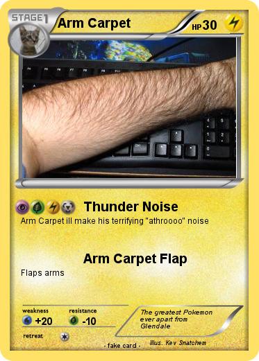 Pokemon Arm Carpet