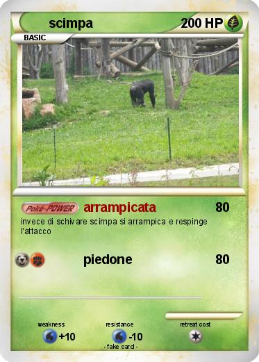 Pokemon scimpa