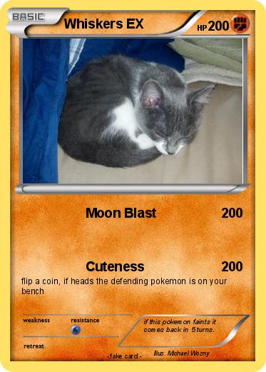 Pokemon Whiskers EX