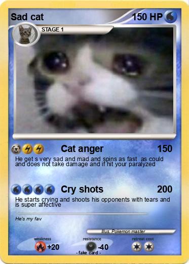 Pokemon Sad cat