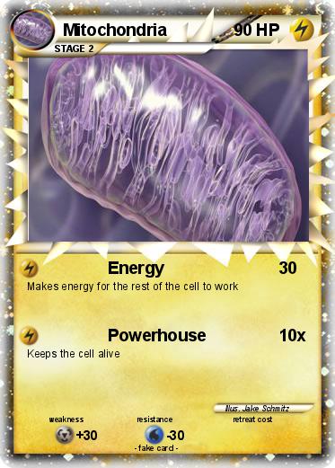 Pokemon Mitochondria