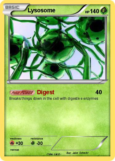 Pokemon Lysosome