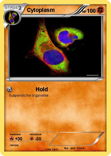 Pokemon Cytoplasm