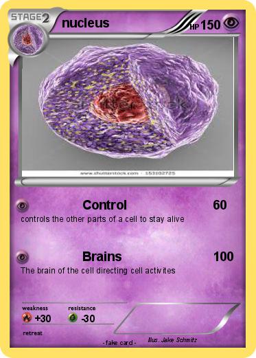 Pokemon nucleus