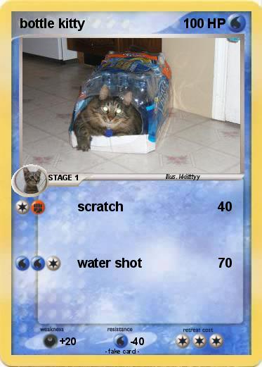 Pokemon bottle kitty