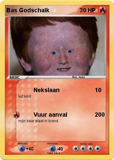 Pokemon Bas Godschalk