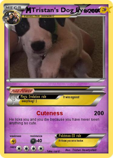 Pokemon Tristan's Dog Everest