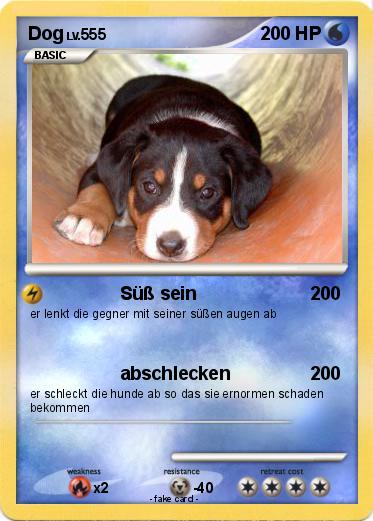 Pokemon Dog