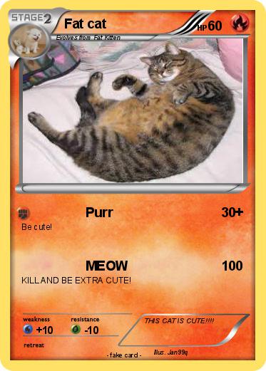 Pokemon Fat cat