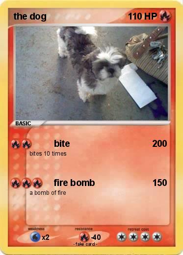Pokemon the dog