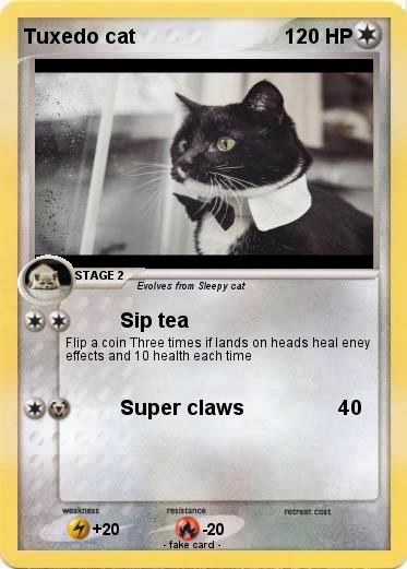 Pokemon Tuxedo cat