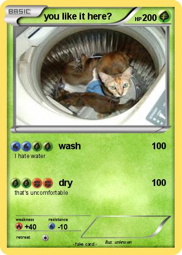 Pokemon you like it here?