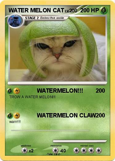 Pokemon WATER MELON CAT