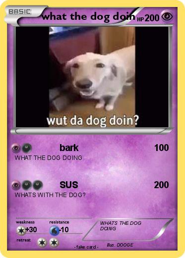 Pokemon what the dog doin
