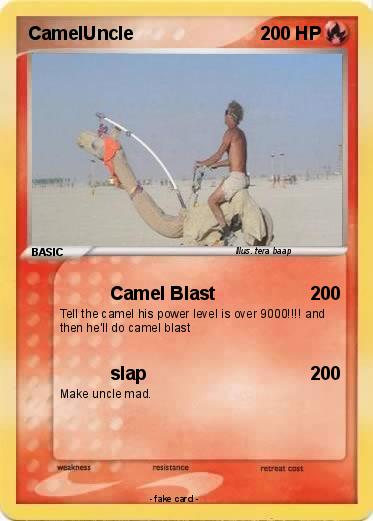 Pokemon CamelUncle