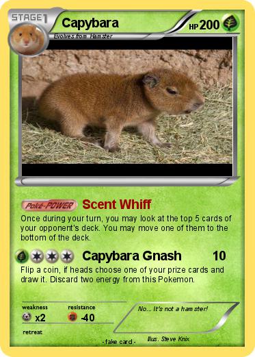 Pokemon Capybara