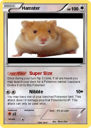 Pokemon Hamster