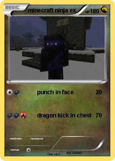 Pokemon minecraft ninja ex