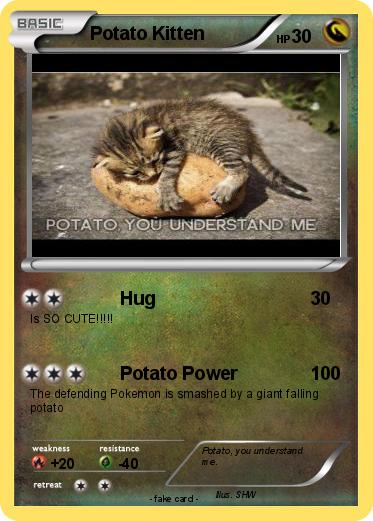Pokemon Potato Kitten