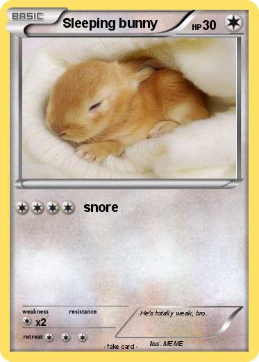 Pokemon Sleeping bunny