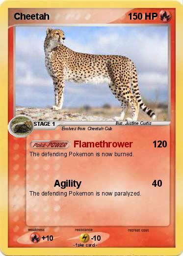 Pokemon Cheetah
