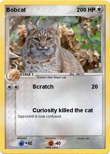 Pokemon Bobcat