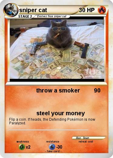 Pokemon sniper cat
