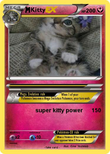 Pokemon Kitty