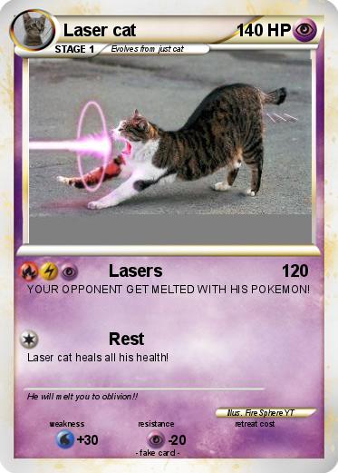 Pokemon Laser cat