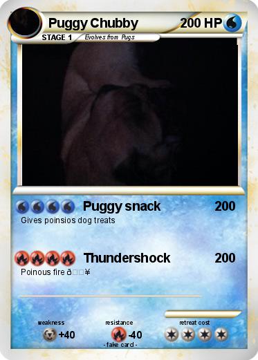 Pokemon Puggy Chubby