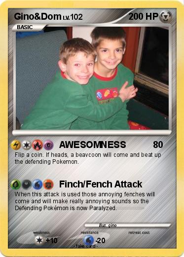Pokemon Gino&Dom