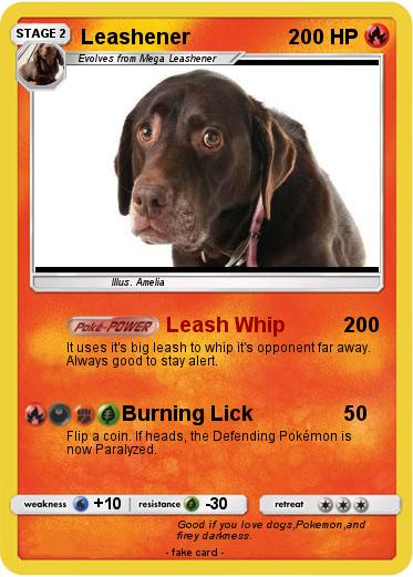 Pokemon Leashener