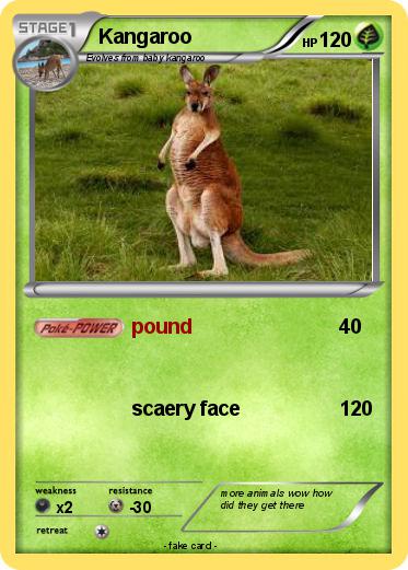 Pokemon Kangaroo