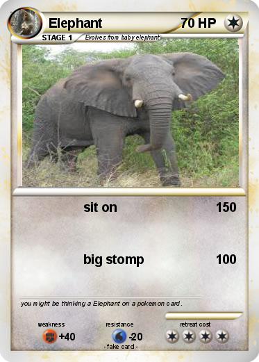 Pokemon Elephant